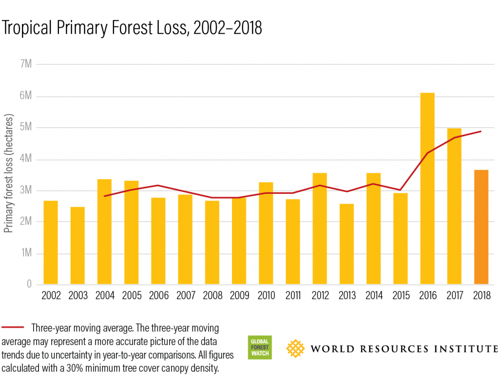 Deforestation And Global Warming The Numbers 2023