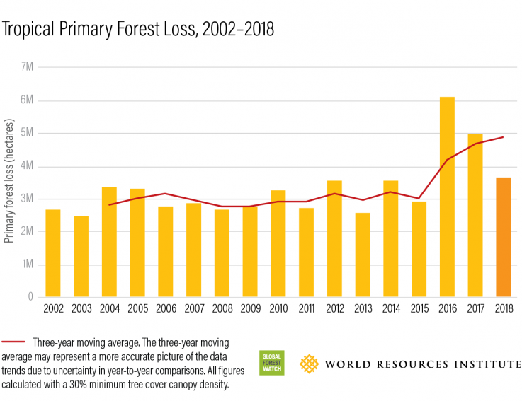 Deforestation and Global Warming The numbers 2024